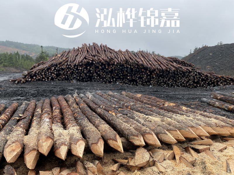 6米長(zhǎng)松木樁有哪些作用，多少錢(qián)一根？