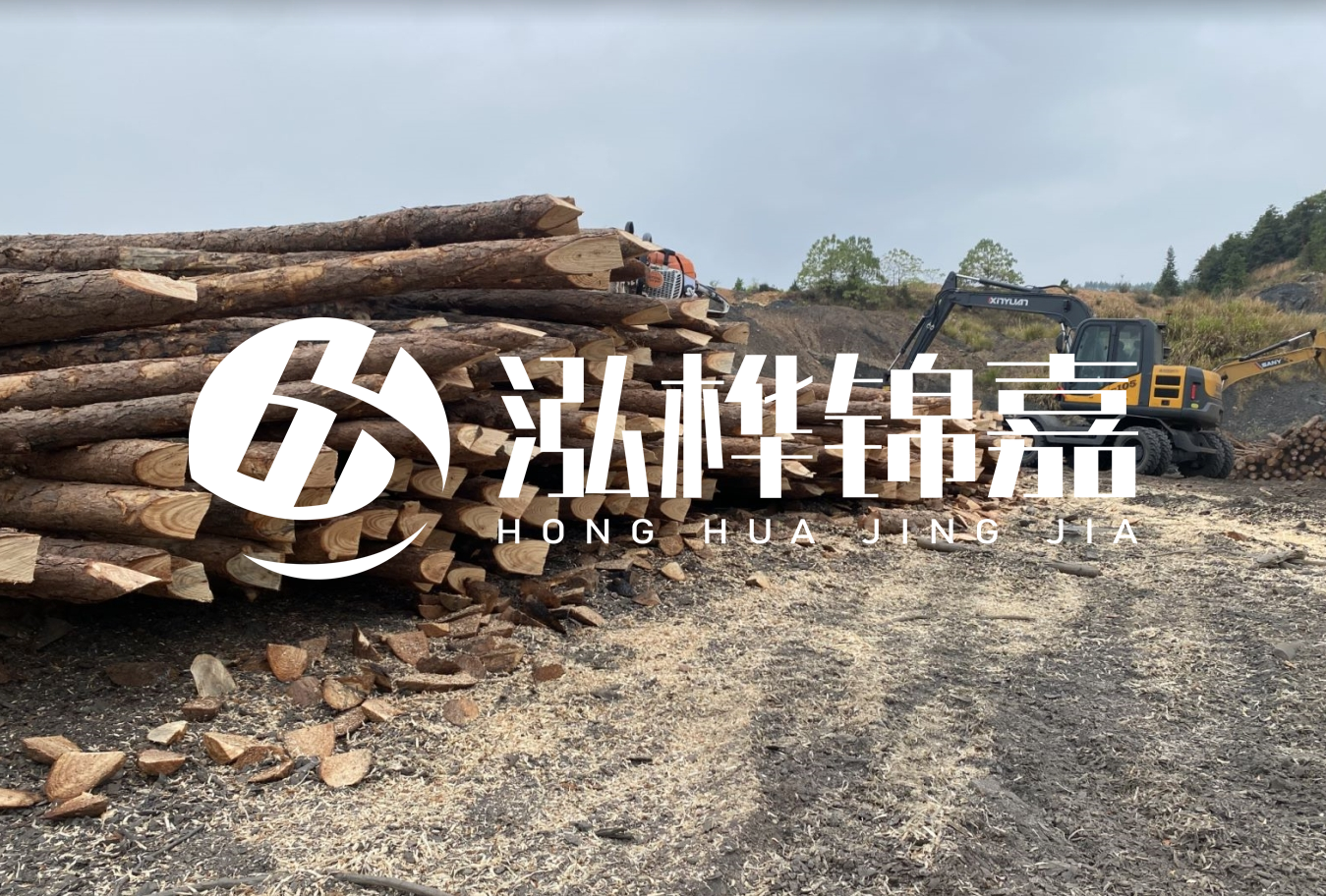松木樁尾徑是什么意思？