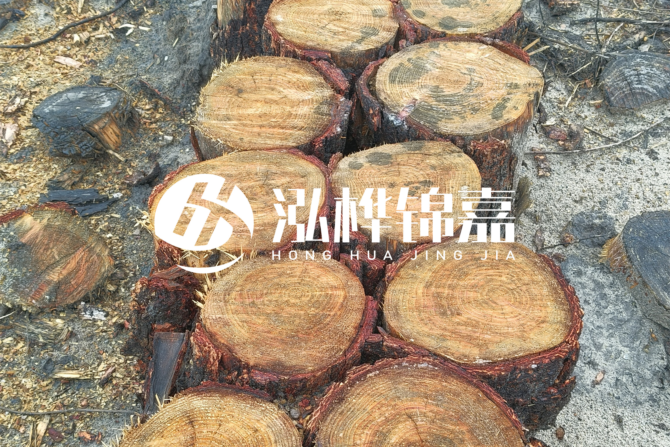 浙江臺州有清淤的公司嗎？浙江臺州有清淤施工隊嗎？