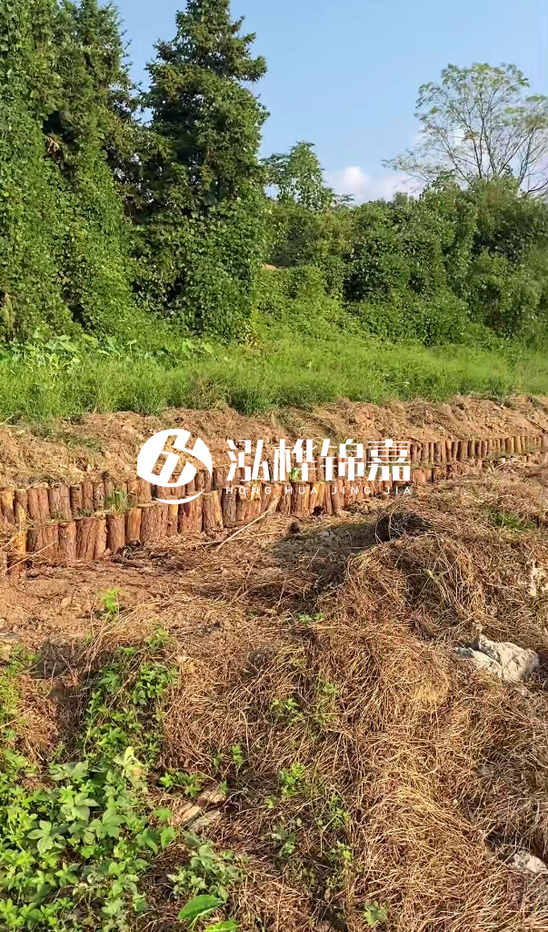 許昌河道清淤專業(yè)施工-河道污水治理要多長(zhǎng)時(shí)間？