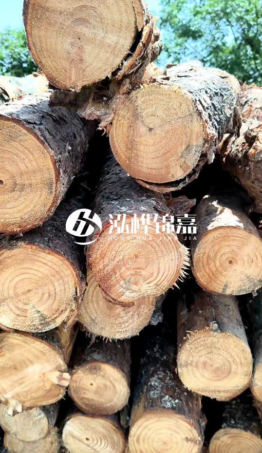 周口挖機打木樁專業(yè)施工-杉木樁施工打樁怎么打？