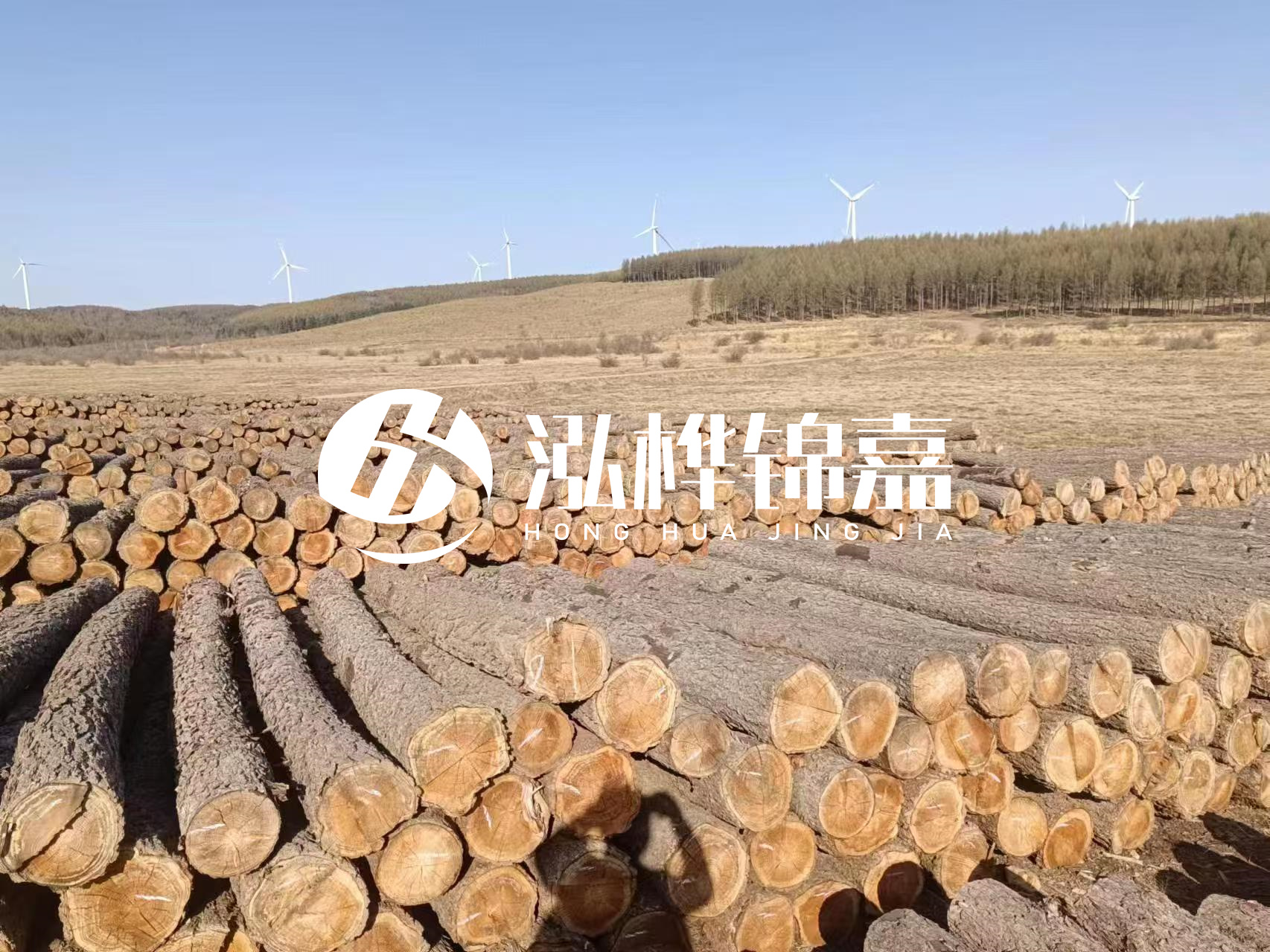 咸寧松木樁源頭廠家-哪里能買到質(zhì)量好的松木樁打樁木？