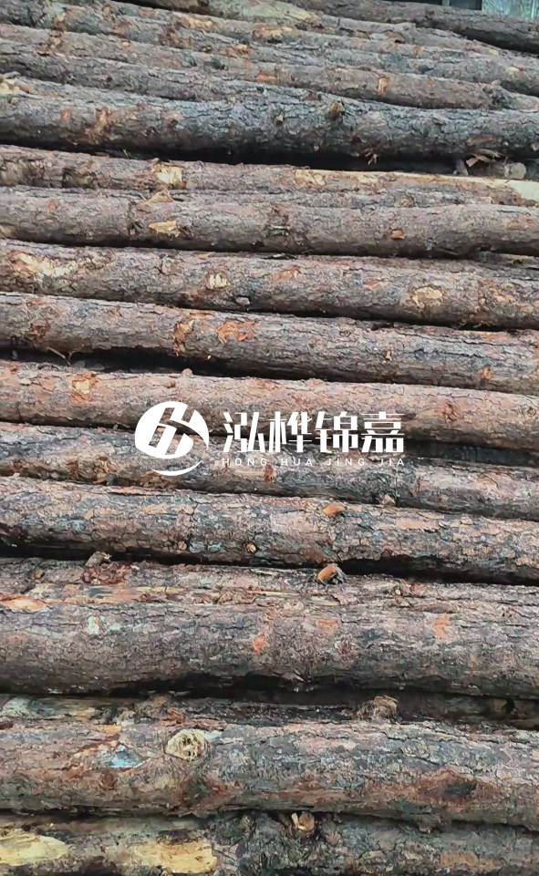陽(yáng)江松木樁源頭廠家-哪一種打樁木最便宜？