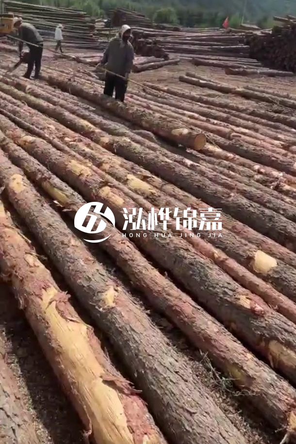 ?？谒赡緲对搭^廠家-松木樁最長(zhǎng)可以做多少米？