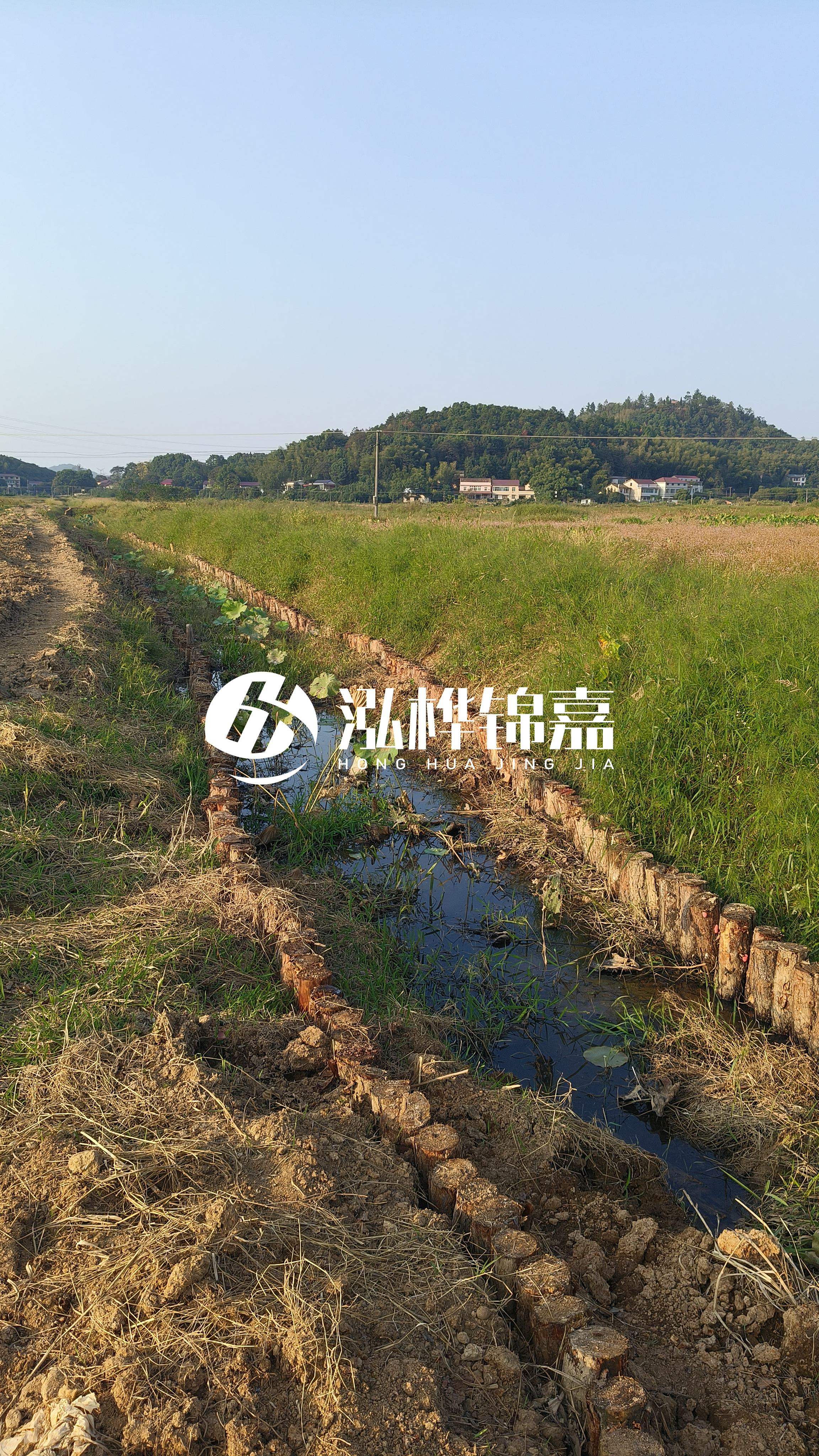 河道護(hù)坡打木樁的目的全解析：你知道幾個？