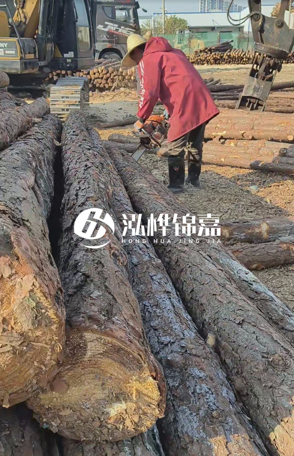 長(zhǎng)沙打樁木批發(fā)廠家在哪里？聯(lián)系方式是什么？
