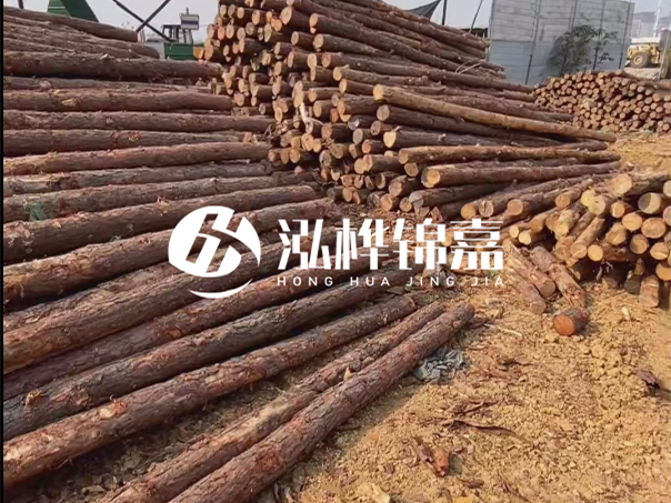 河道木樁施工遇到淤泥怎么辦？打多深才能防沖刷？