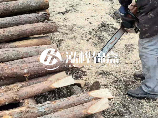 杉木樁批發(fā)廠家哪家好？產(chǎn)地直供渠道推薦！
