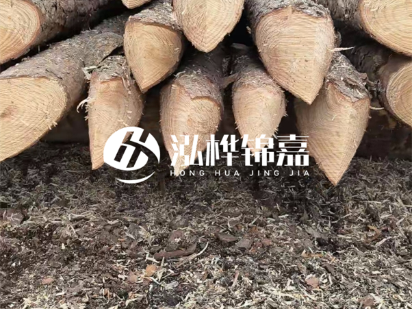 打樁木樁與鋼樁相比有哪些優(yōu)缺點(diǎn)？如何進(jìn)行后期維護(hù)？