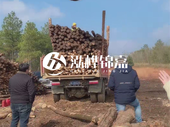 松木樁價格是按米算還是按根算？6米松木樁批發(fā)價每根多少錢？