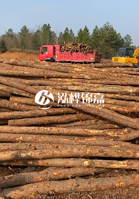 8米小頭11-13CM的松木樁價格是多少？打樁施工怎么算？