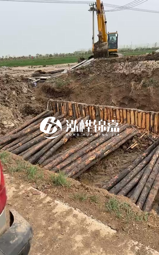 4米直徑12-13油松批發(fā)價最低多少？報價含稅含運嗎？