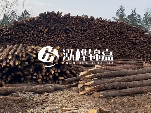 地基打木樁用什么木材 - 地基打木樁的能撐幾年？