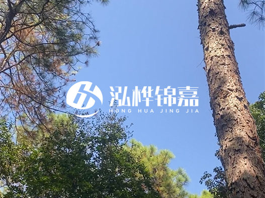 松木樁廠家的供貨能力強不強-怎么才能聯(lián)系到松木樁廠家？