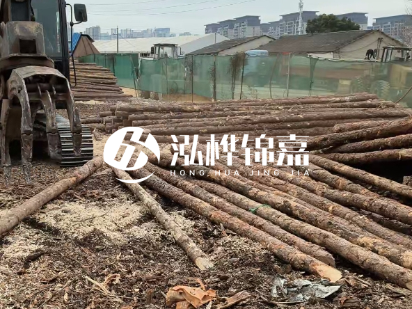 2 米長(zhǎng)度松木樁多少錢？松木樁 10 一 15 公分價(jià)格？