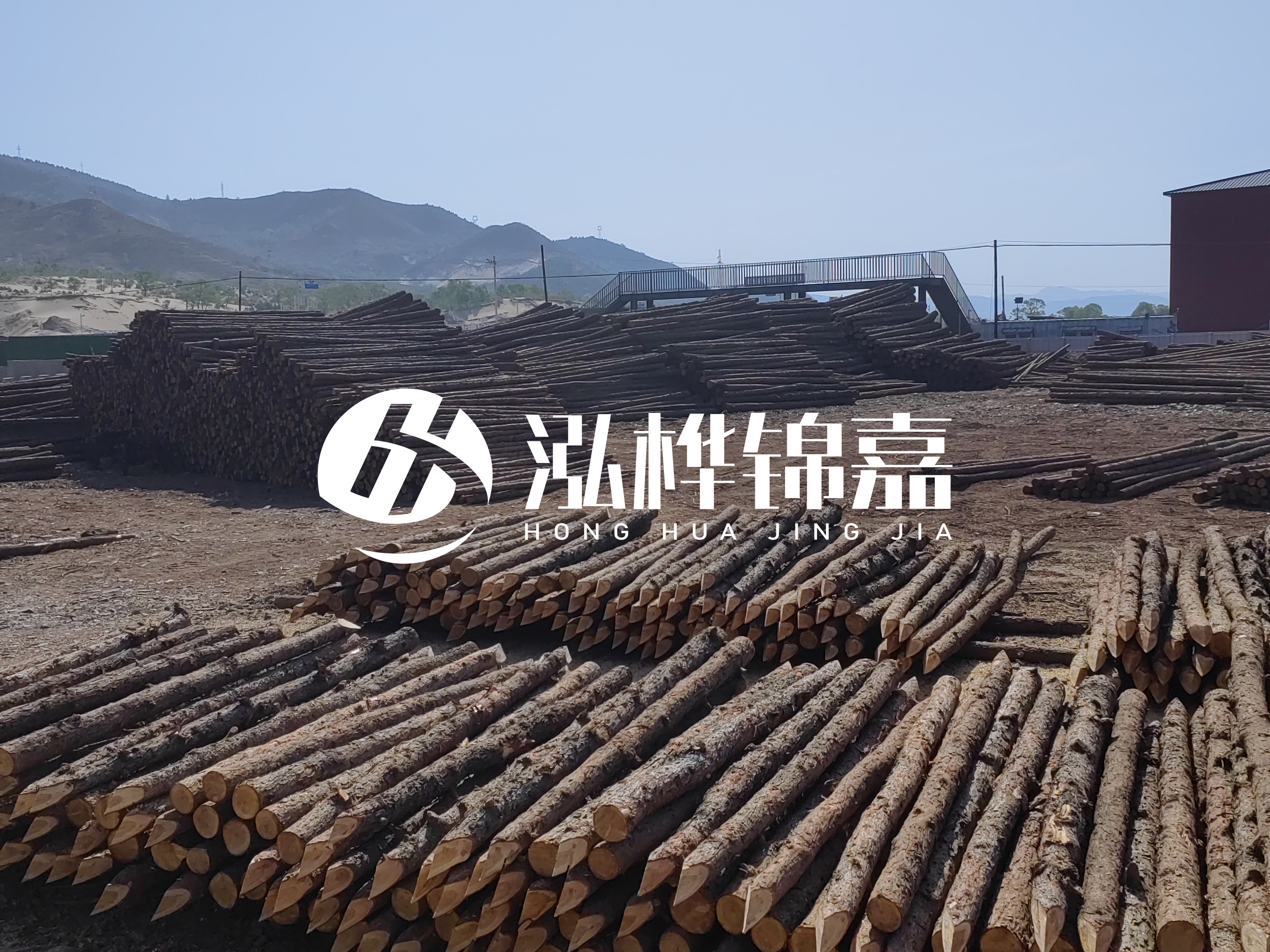 江蘇打樁木源頭廠家泓樺錦嘉-4米打樁木大頭14-16小頭一般多少？
