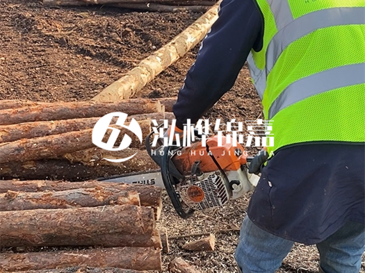 河道打木樁多少錢(qián)一根？5米直徑10松木樁打樁多少錢(qián)？