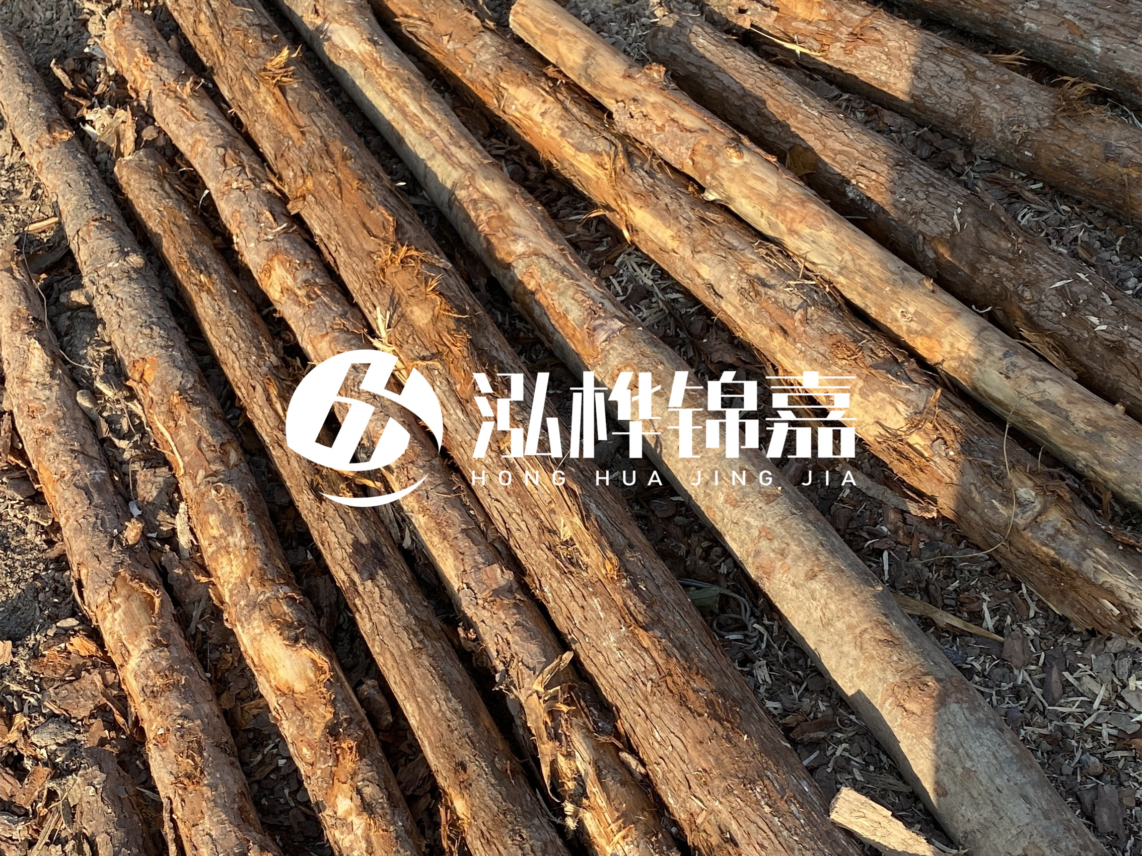 河道木樁多少錢一根？河道木樁的使用以及保養(yǎng)方法?