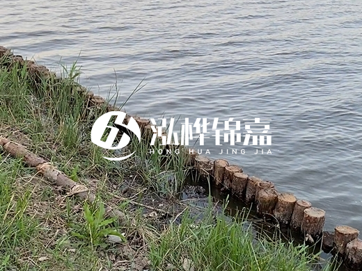 防洪松木樁施工重要性？河道打木樁的位置怎么確定？