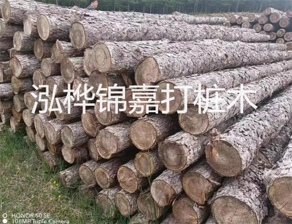 高效修補(bǔ)，保駕護(hù)航！水泥路面高強(qiáng)度修補(bǔ)料為您解決煩惱！