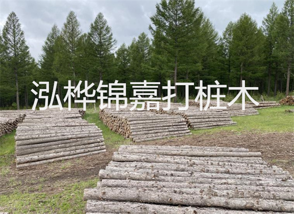 迷人風(fēng)景！干砌石護坡圖片分享