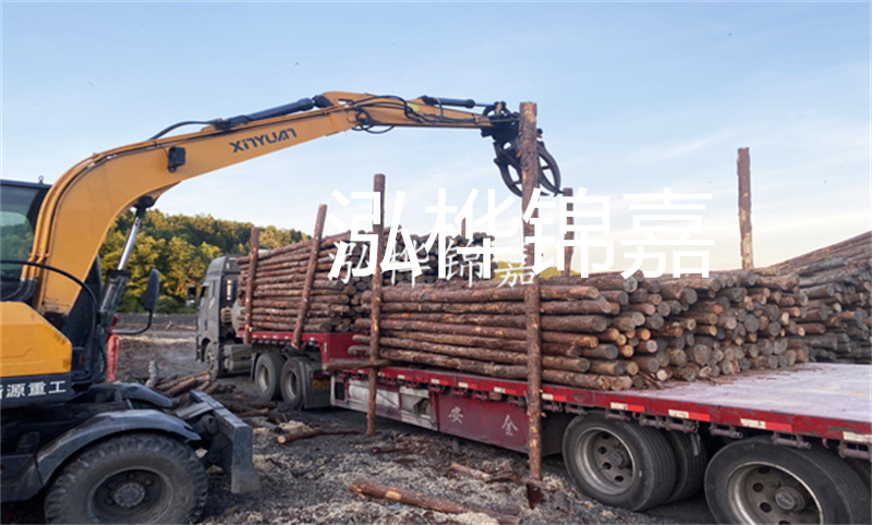 打護坡松木樁施工視頻-保障道路安全，提升城市形象！