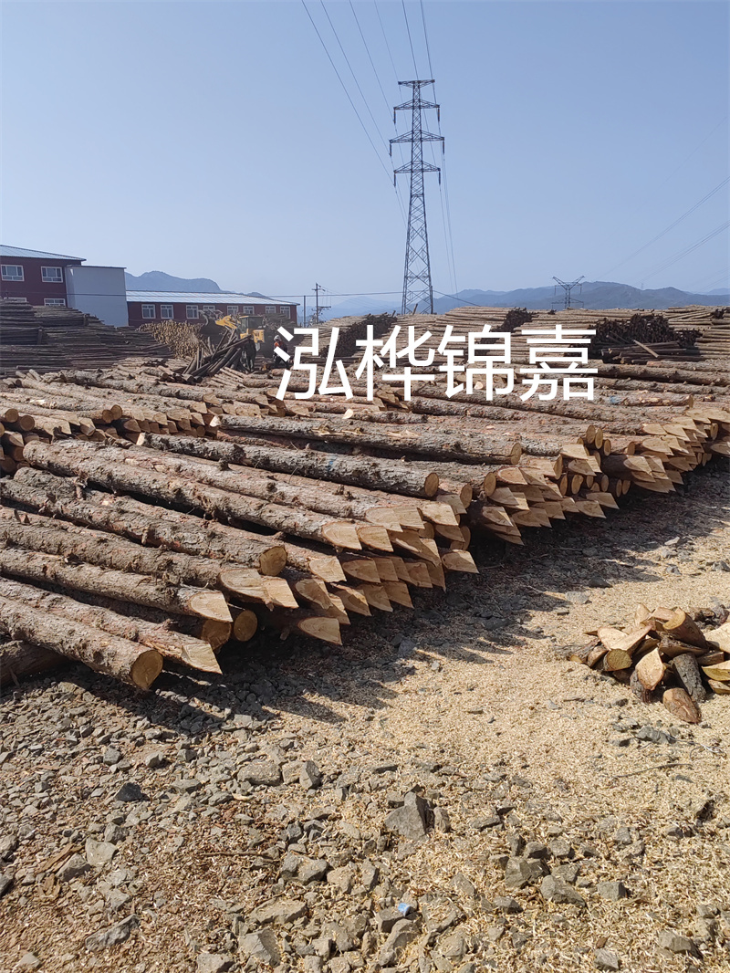 深入了解松木樁基礎施工單價，助力工程建設順利進行！