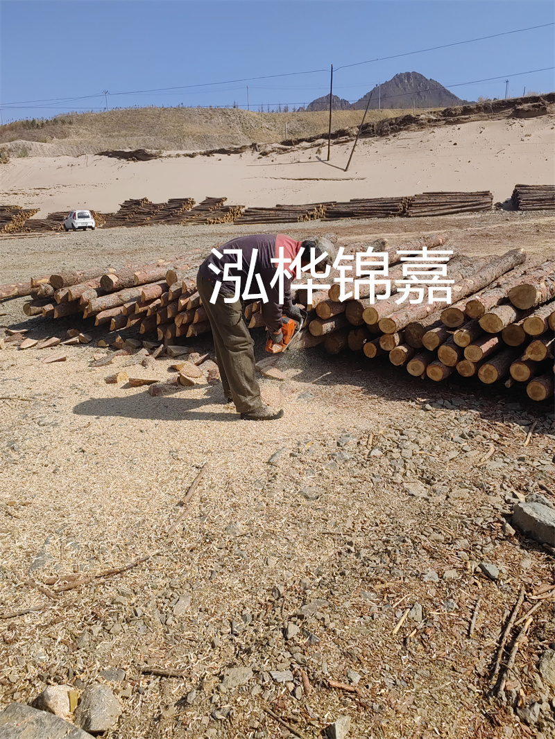 松木樁駁岸施工，打造水上風景線