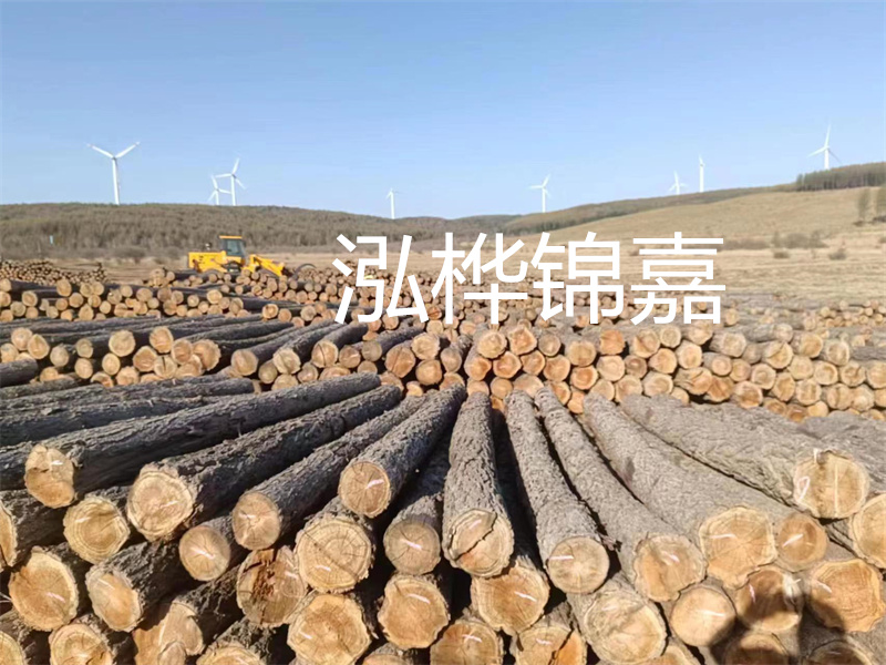 溫州松木樁施工廠家——為您打造堅(jiān)固穩(wěn)定的建筑基礎(chǔ)！