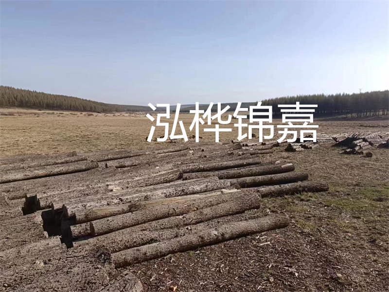 鄂州松木樁哪里好？推薦泓樺錦嘉松木樁業(yè)！